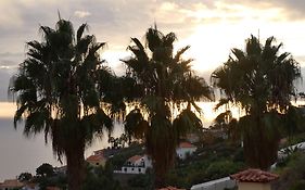 Casa Do Papagaio Verde